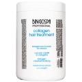 Kuracja kolagenowa do włosów BINGOSPA Professional 1000 g